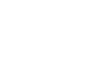 Switch language